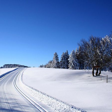 Logis Le Vernay Autrans-Meaudre-en-Vercors Buitenkant foto