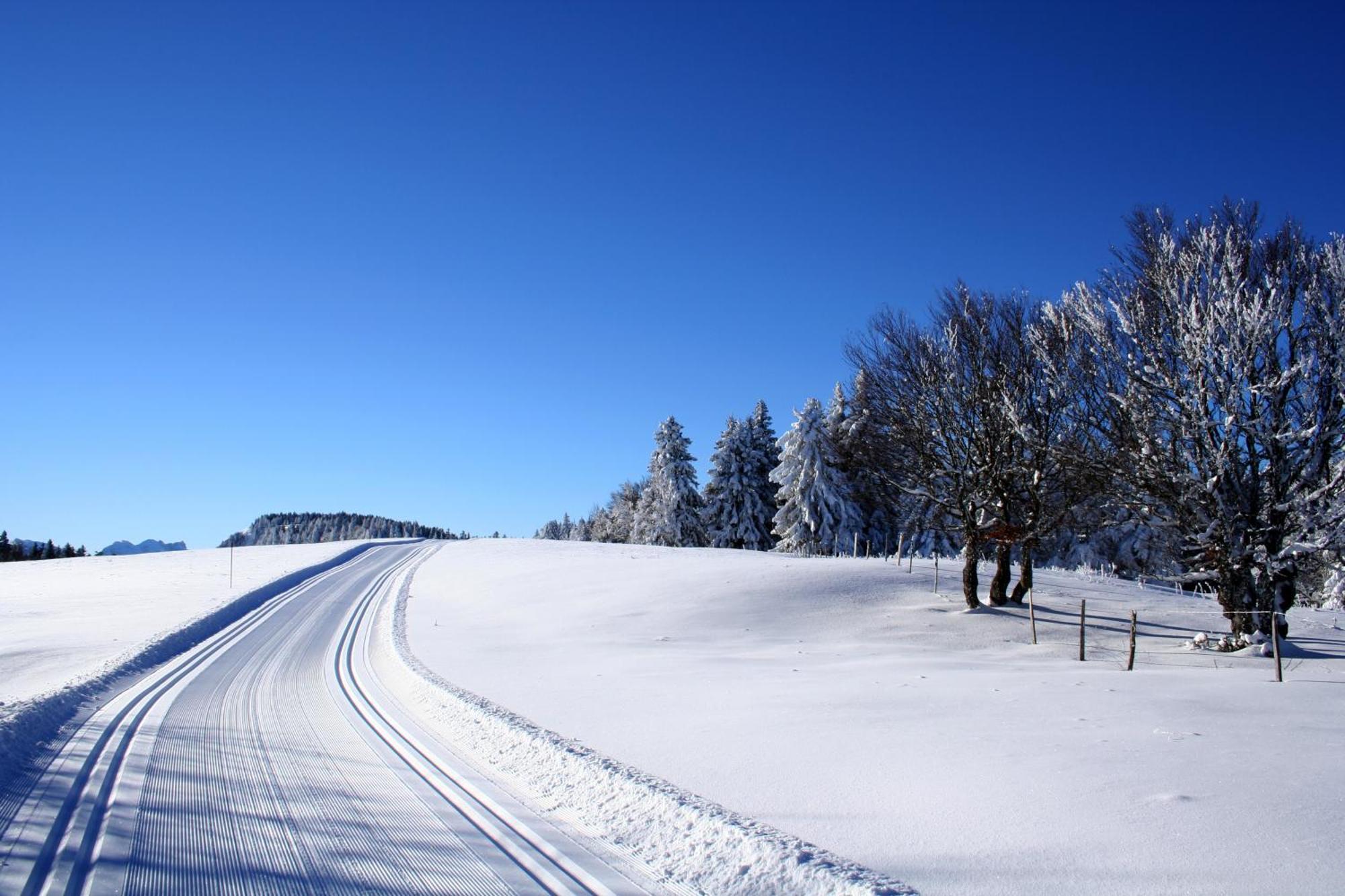 Logis Le Vernay Autrans-Meaudre-en-Vercors Buitenkant foto